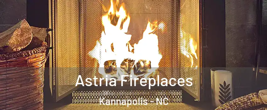  Astria Fireplaces Kannapolis - NC