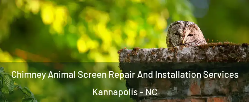  Chimney Animal Screen Repair And Installation Services Kannapolis - NC