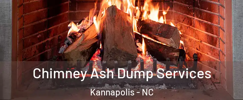  Chimney Ash Dump Services Kannapolis - NC