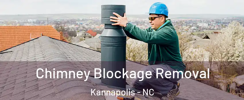  Chimney Blockage Removal Kannapolis - NC