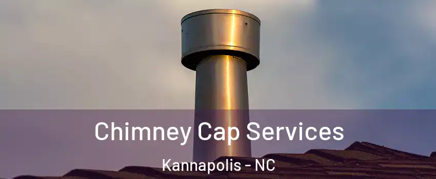  Chimney Cap Services Kannapolis - NC