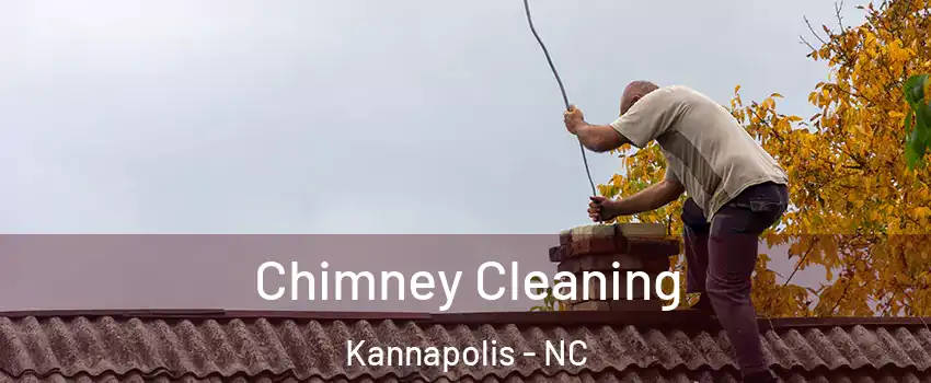  Chimney Cleaning Kannapolis - NC