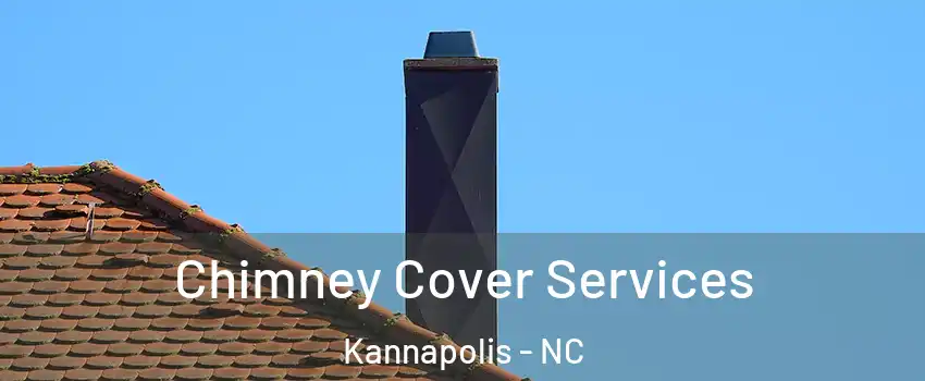  Chimney Cover Services Kannapolis - NC