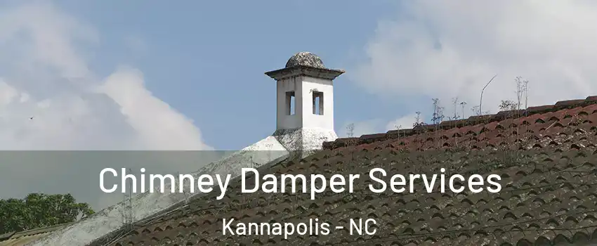  Chimney Damper Services Kannapolis - NC