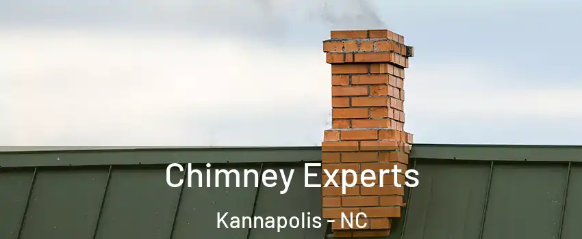 Chimney Experts Kannapolis - NC