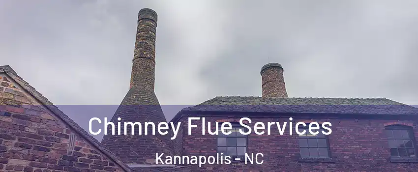  Chimney Flue Services Kannapolis - NC