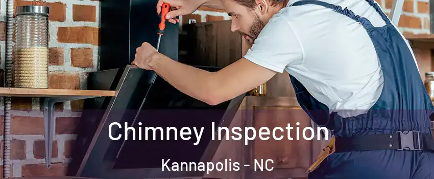  Chimney Inspection Kannapolis - NC