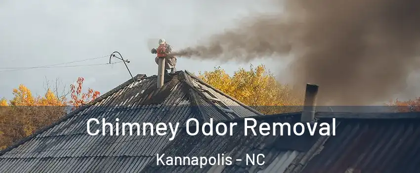  Chimney Odor Removal Kannapolis - NC