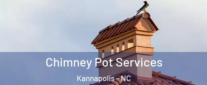  Chimney Pot Services Kannapolis - NC