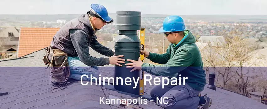  Chimney Repair Kannapolis - NC
