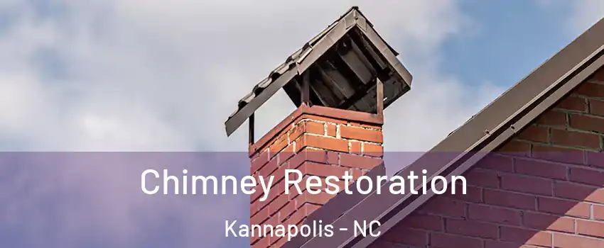  Chimney Restoration Kannapolis - NC