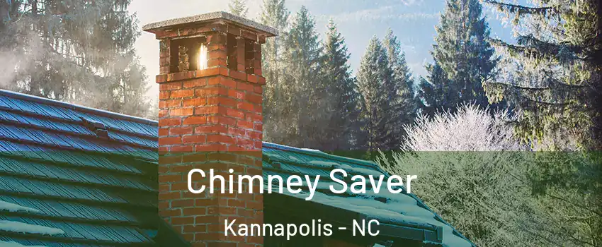  Chimney Saver Kannapolis - NC