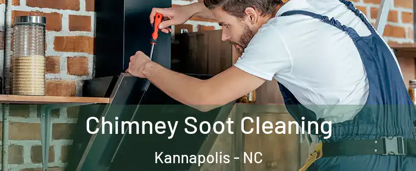  Chimney Soot Cleaning Kannapolis - NC