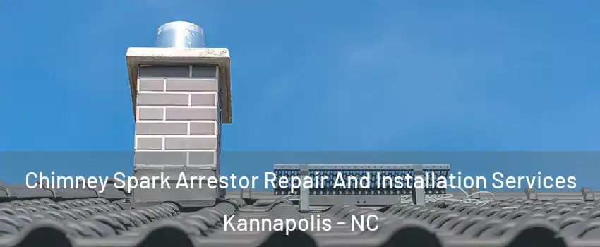  Chimney Spark Arrestor Repair And Installation Services Kannapolis - NC