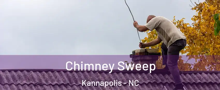  Chimney Sweep Kannapolis - NC