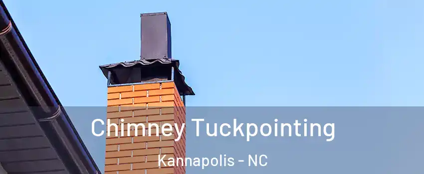  Chimney Tuckpointing Kannapolis - NC