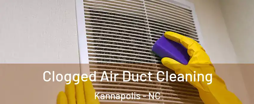  Clogged Air Duct Cleaning Kannapolis - NC