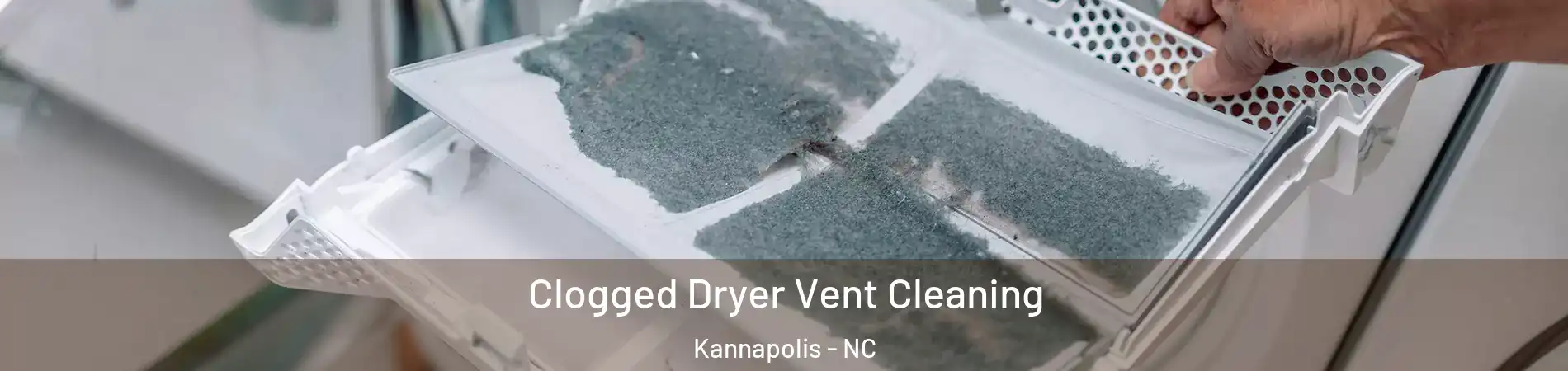  Clogged Dryer Vent Cleaning Kannapolis - NC