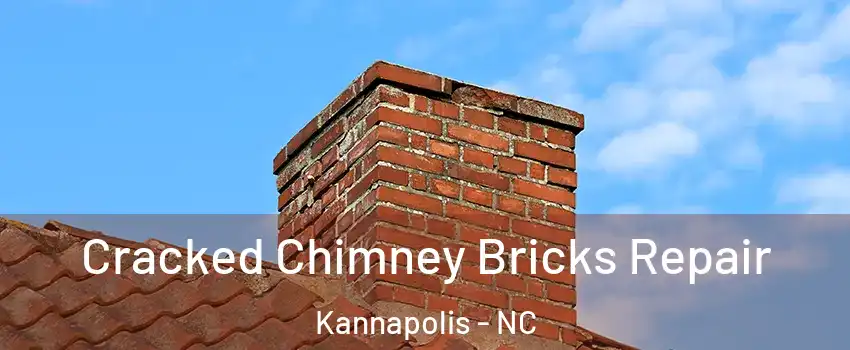  Cracked Chimney Bricks Repair Kannapolis - NC