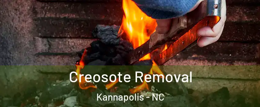  Creosote Removal Kannapolis - NC