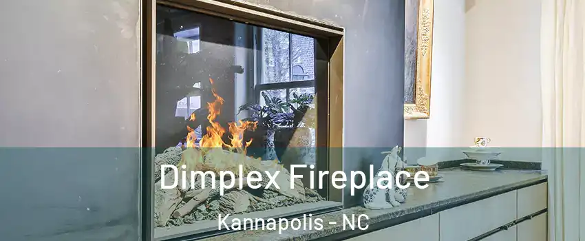  Dimplex Fireplace Kannapolis - NC