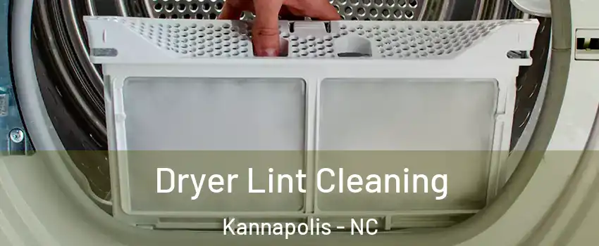  Dryer Lint Cleaning Kannapolis - NC