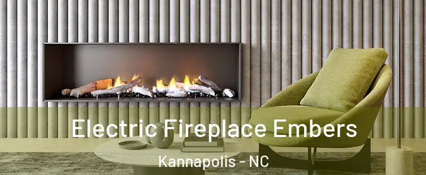  Electric Fireplace Embers Kannapolis - NC
