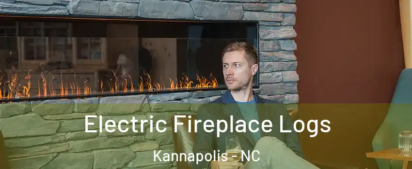 Electric Fireplace Logs Kannapolis - NC