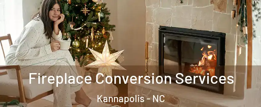  Fireplace Conversion Services Kannapolis - NC