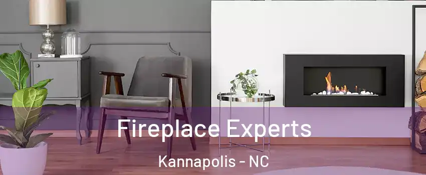  Fireplace Experts Kannapolis - NC