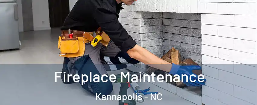  Fireplace Maintenance Kannapolis - NC