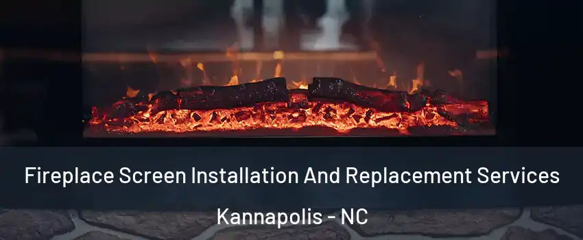  Fireplace Screen Installation And Replacement Services Kannapolis - NC