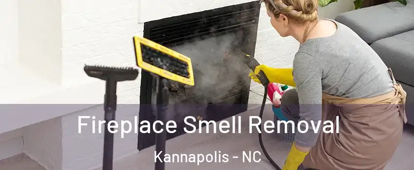  Fireplace Smell Removal Kannapolis - NC