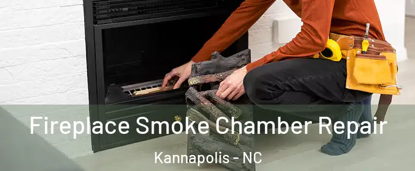  Fireplace Smoke Chamber Repair Kannapolis - NC