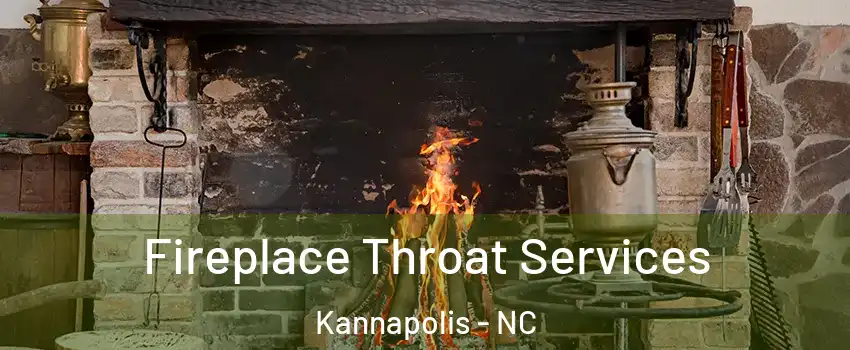  Fireplace Throat Services Kannapolis - NC