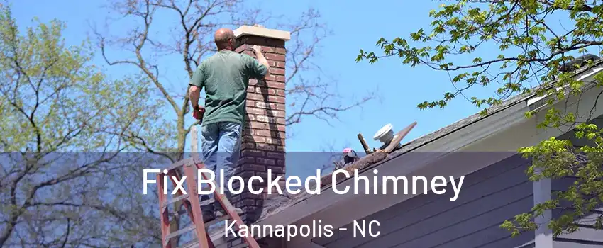  Fix Blocked Chimney Kannapolis - NC
