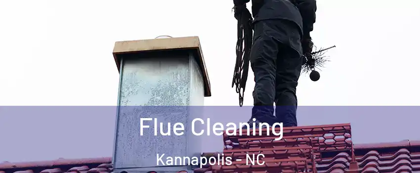  Flue Cleaning Kannapolis - NC