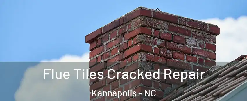  Flue Tiles Cracked Repair Kannapolis - NC