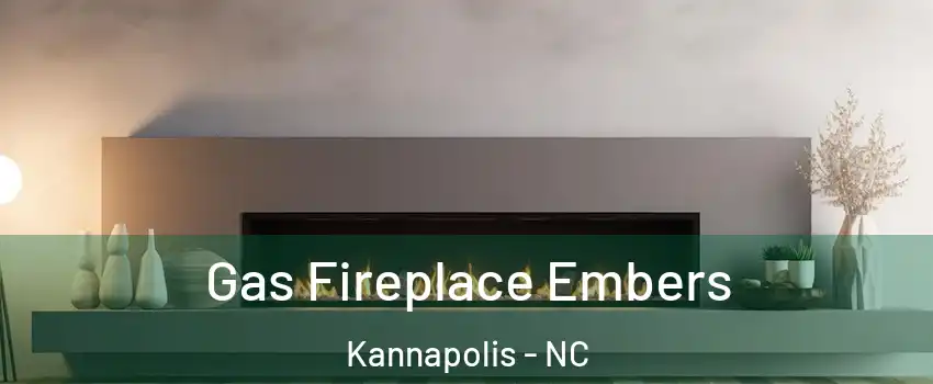  Gas Fireplace Embers Kannapolis - NC