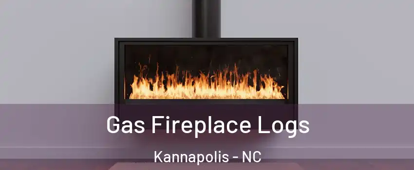  Gas Fireplace Logs Kannapolis - NC
