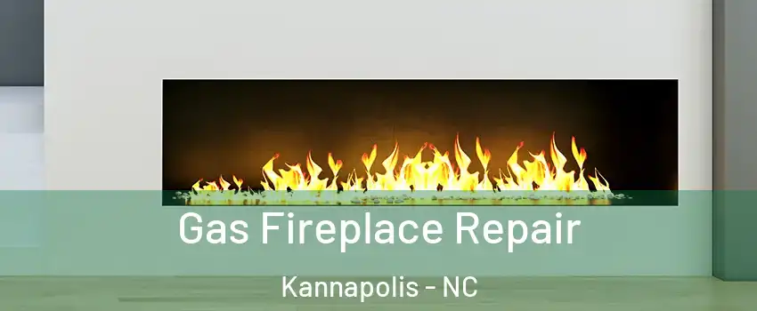  Gas Fireplace Repair Kannapolis - NC