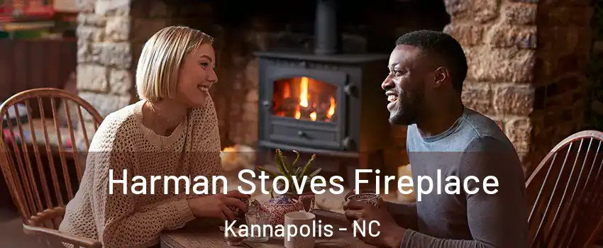  Harman Stoves Fireplace Kannapolis - NC