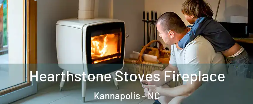  Hearthstone Stoves Fireplace Kannapolis - NC