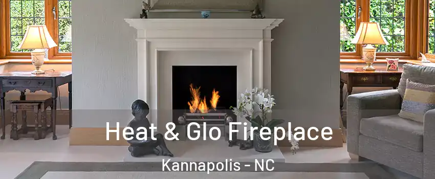  Heat & Glo Fireplace Kannapolis - NC