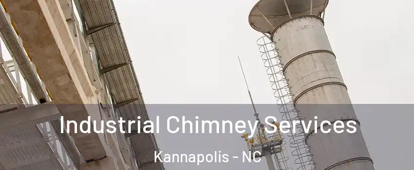  Industrial Chimney Services Kannapolis - NC
