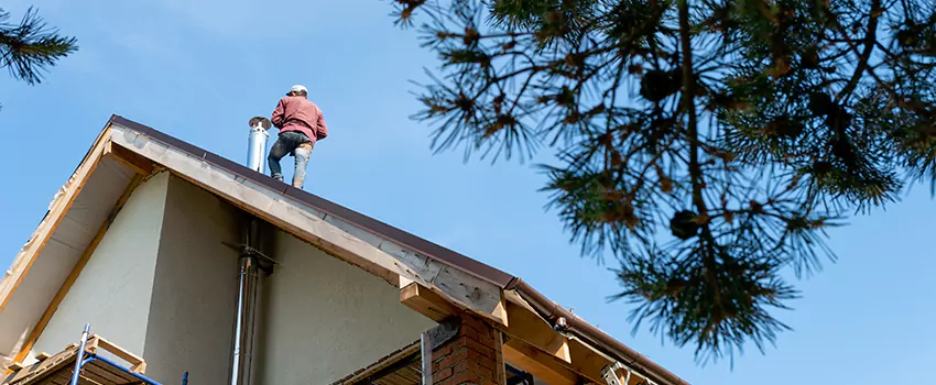 Birds Removal Contractors from Chimney in Kannapolis, NC