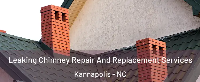  Leaking Chimney Repair And Replacement Services Kannapolis - NC