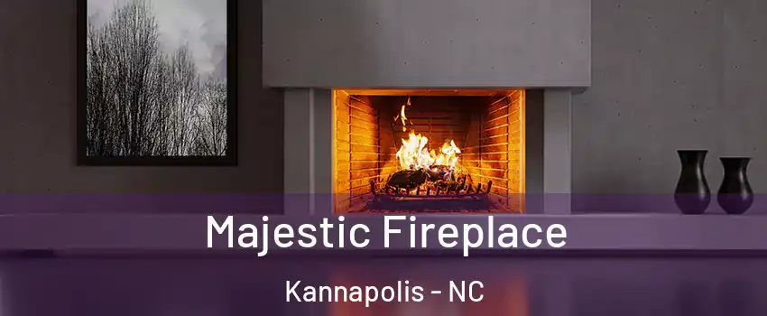  Majestic Fireplace Kannapolis - NC