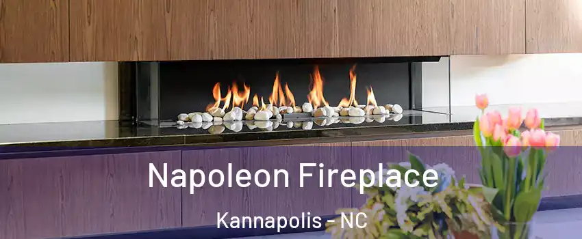  Napoleon Fireplace Kannapolis - NC