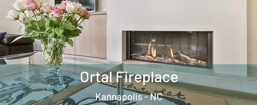 Ortal Fireplace Kannapolis - NC